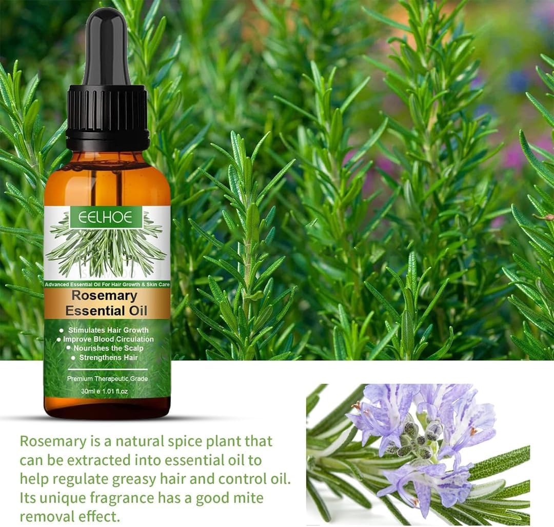 EELHOE Rosemary Essential Hair Oil Original- Nourishing Vegan Formula for Lustrous Locks and Scalp Wellness [ FREE SHIPPING ALL OVER KSA ]